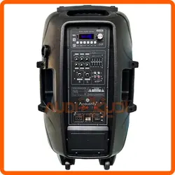 باند شارژی 15 اینچ با دو میکروفن بی سیم ACOUSTIFY PRO15