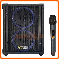 اکو همراه دبل 6 اینچ با میکروفن بیسیم برین B2660W