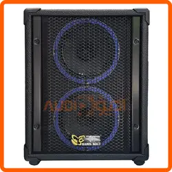 اکو همراه دبل 6 اینچ با میکروفن بیسیم برین B2660W