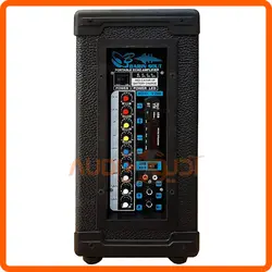 اکو همراه دبل 6 اینچ با میکروفن بیسیم برین B2660W