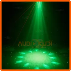 مووینگ زنبوری BEE