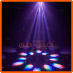 مووینگ زنبوری BEE