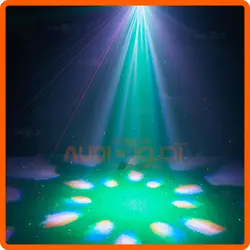 مووینگ زنبوری BEE