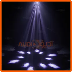 مووینگ زنبوری BEE