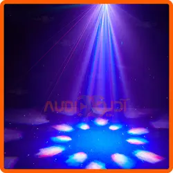 مووینگ زنبوری BEE