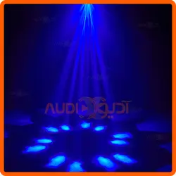 مووینگ زنبوری BEE