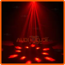 مووینگ زنبوری BEE