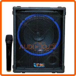 اکو همراه 12 اینچ با میکروفن بیسیم برین مدل B12150