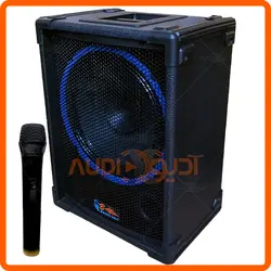 اکو همراه 12 اینچ با میکروفن بیسیم برین مدل B12150