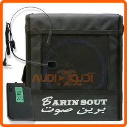 اکو همراه 6 اینچ با میکروفن بیسیم هدمیک برین مدل B1640USB
