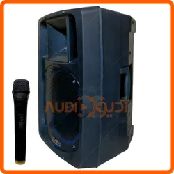 اکو همراه 12 اینچ فایبرگلاس با میکروفن بیسیم برین مدل B3695