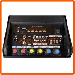 اکو همراه 5 اینچ با میکروفن بیسیم برین مدل B1530USB