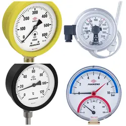 گیج فشار خشک پکنز صفحه 10 سانت 16 بار