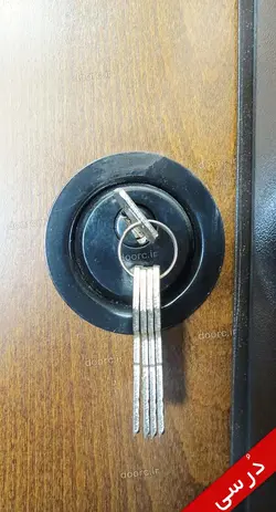 درب ضدسرقت راشین