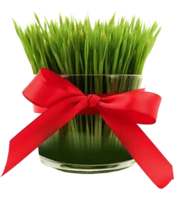 دانلود آیکن سبزه عید