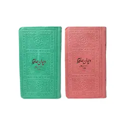 حافظ پالتویی ترمو داخل رنگی