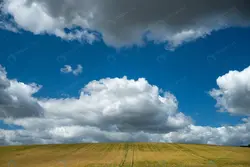 مجموعه وکتور طوطی - مرجع دانلود فایلهای دیجیتالی