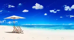 مجموعه وکتور پر پرنده - مرجع دانلود فایلهای دیجیتالی