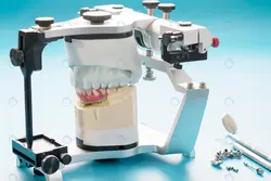 بازیکن بسکتبال در حال پرتاپ توپ - مرجع دانلود فایلهای دیجیتالی