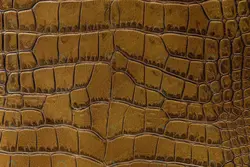 عکس خورشید با عینک آفتابی روی شن های ساحل - مرجع دانلود فایلهای دیجیتالی