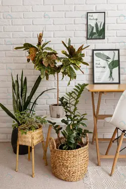 پروژه آماده افتر افکت یک سوم پایینی - مرجع دانلود فایلهای دیجیتالی