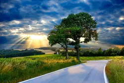 رندر توپ سه بعدی خاکستری رنگ - مرجع دانلود فایلهای دیجیتالی