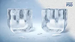 عکس خانم با چتر در جنگل پاییزی - مرجع دانلود فایلهای دیجیتالی