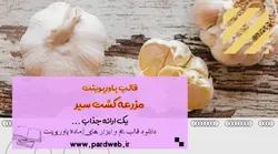 قالب پاورپوینت مزرعه کشت سیر