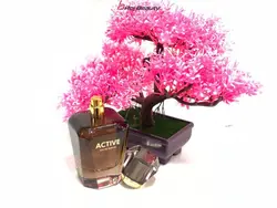 ادکلن اکتیو قهوه ای ACTIVE Active brown perfume