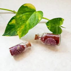 زعفران چوب پنبه‌ای سین