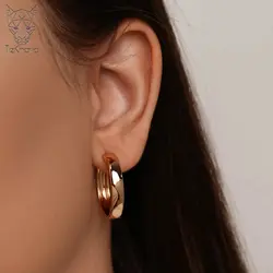 گوشواره حلقه ای ژوپینگ بیگ سیرکل
