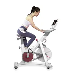 دوچرخه ثابت شیائومی Yesoul Bike S3