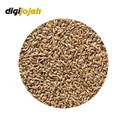 تخم کتان پرنده