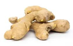 پودرزنجبیل(ginger powder)