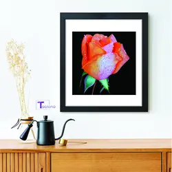 تابلو نقاشی با خودکار Special Flower کد PN10