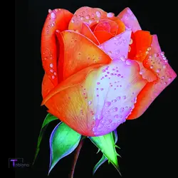 تابلو نقاشی با خودکار Special Flower کد PN10