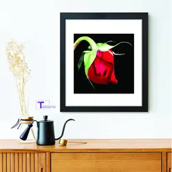 تابلو نقاشی با خودکار طرح گل رز قرمز کد PN6