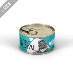 کنسرو نچرال سوپر پریمیوم مخصوص گربه - فیله ماهی و برنج - فیفورا شاپ