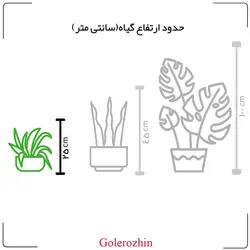 گلدان بونسای میخک هندی