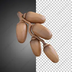 آیکون سه بعدی خوشه خرما - خدمات گرافیکی