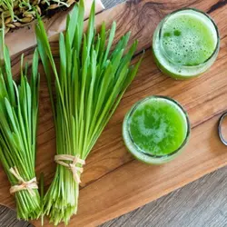 پودر لاغری جوانه ساقه جو کره ای Barley grass گلدن هرب Golden Herb - فروشگاه پاستیل|معتبرترین فروشگاه لوازم آرایشی ومراقبتی پوست
