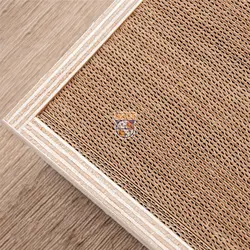 اسکرچر مقوایی گربه ژوانیت مدل کوکی
