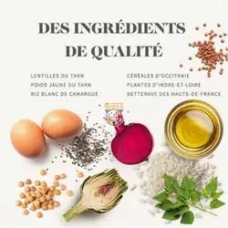 غذای خشک سگ نژاد کوچک بدون غلات بابین Babin Grain Free مرغ 2 کیلوگرم