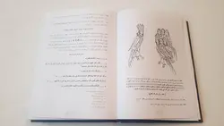 کتاب مرجان جادو به همراه رمزنامه کامل