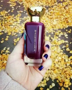 ادوپرفیوم مگنتیستا