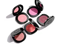 رژگونه ابریشمی