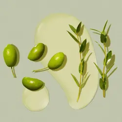 روغن زیتون محافظت کننده