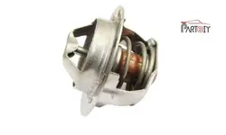 ترموستات پژو RD