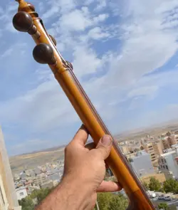 کمانچه