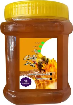 عسل طبیعی آویشن گون